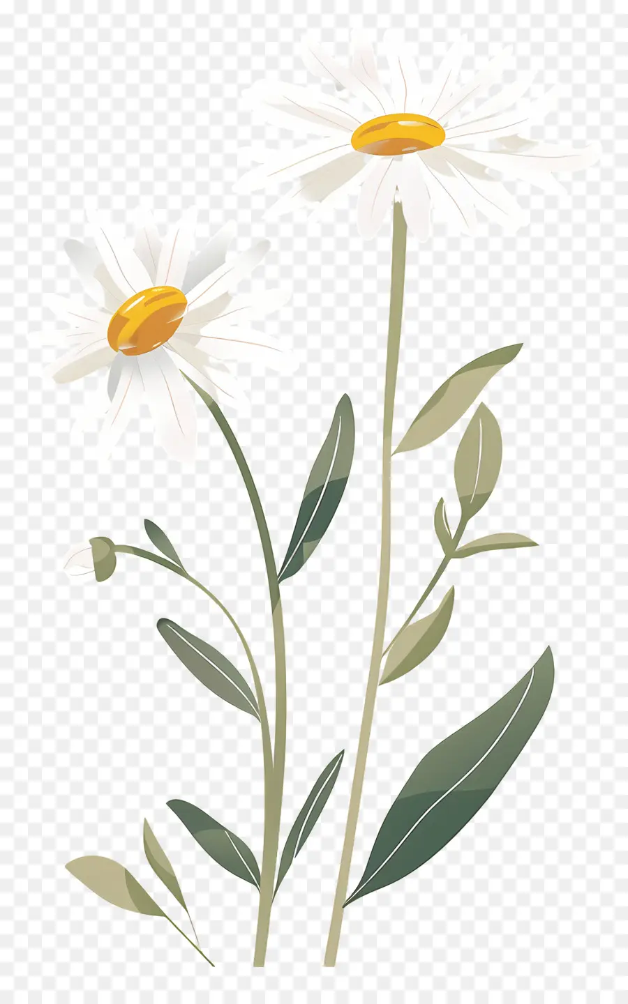 Bunga Daisy，Bunga Kuning PNG