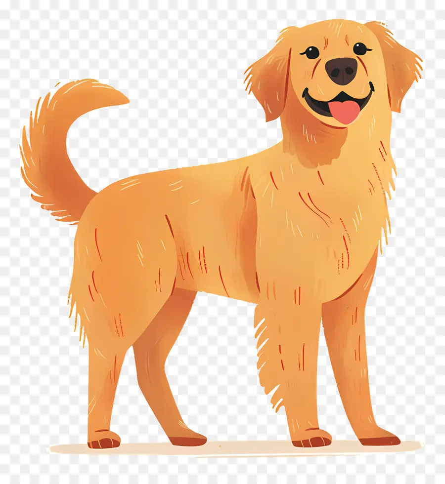 Anjing Golden Retriever，Anjing Emas PNG