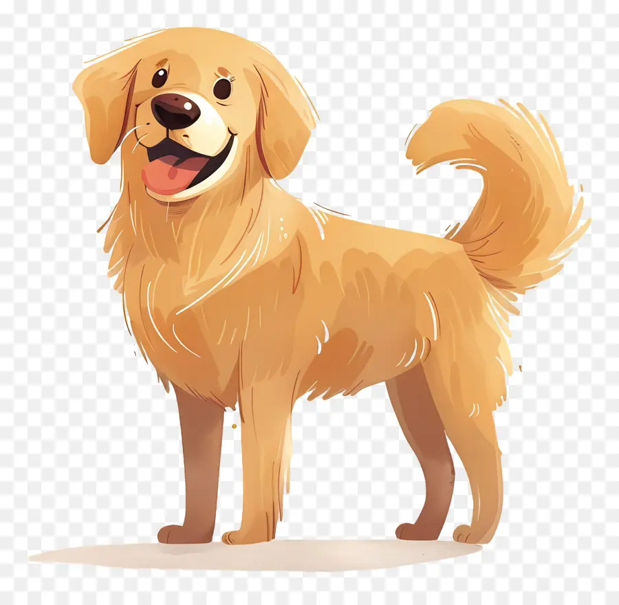 Anjing Golden Retriever，Anjing Kartun PNG