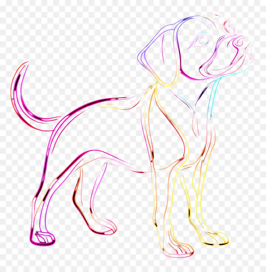 Garis Neon，Anjing Berwarna Warni PNG