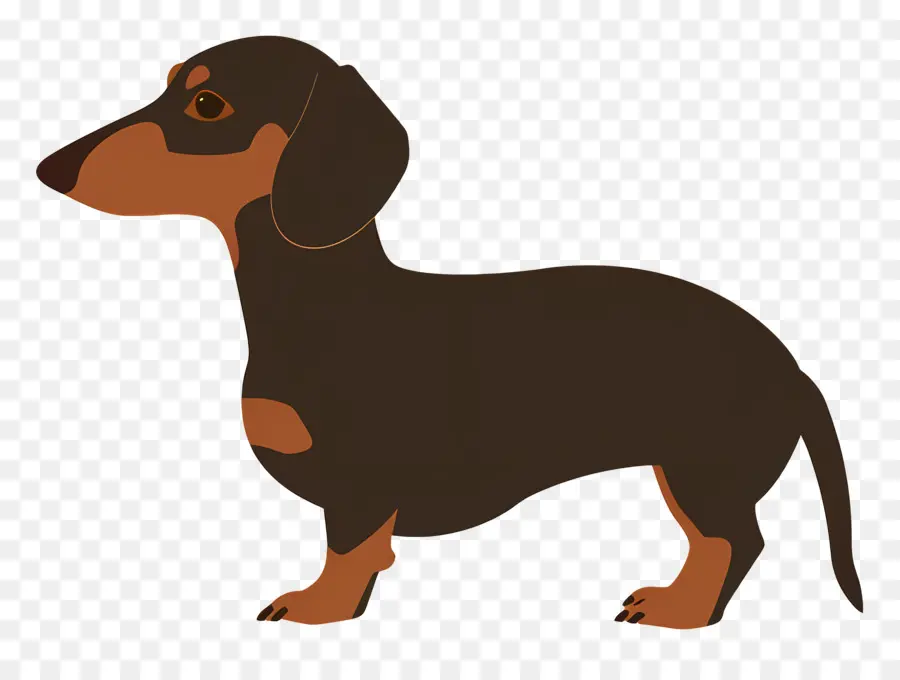 Anjing Animasi，Dachshund Coklat PNG