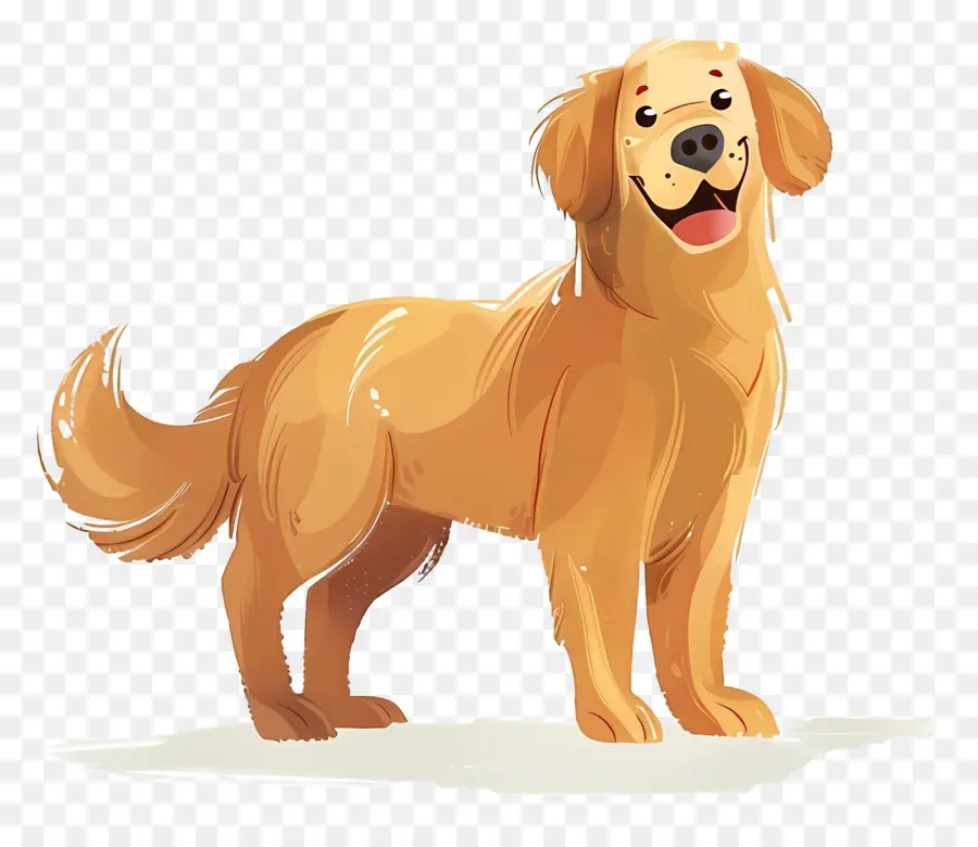 Anjing Golden Retriever，Anjing PNG