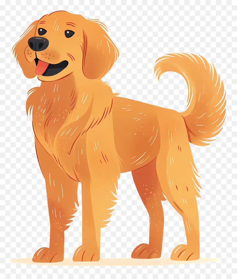 Anjing Golden Retriever，Anjing Kartun PNG