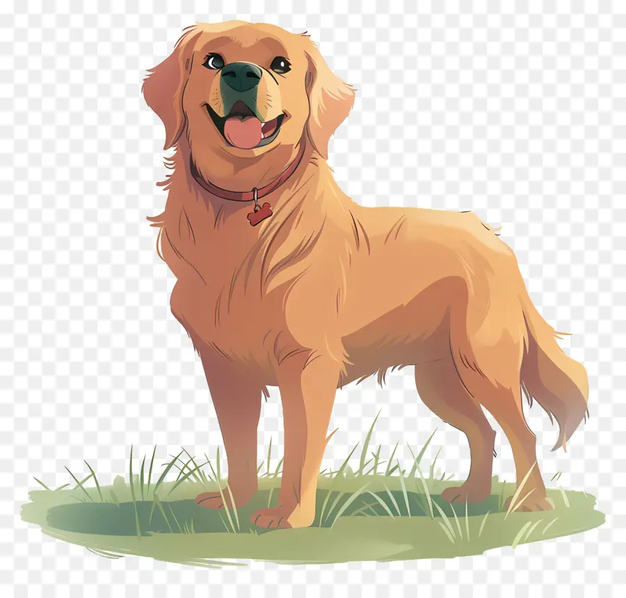 Anjing Golden Retriever，Anjing PNG