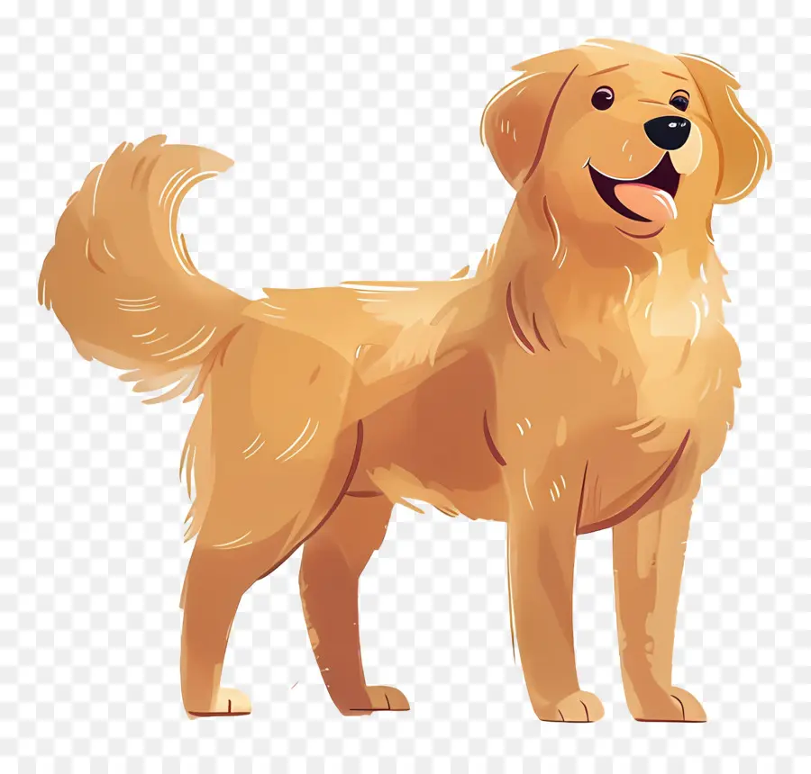 Anjing Golden Retriever，Anjing PNG