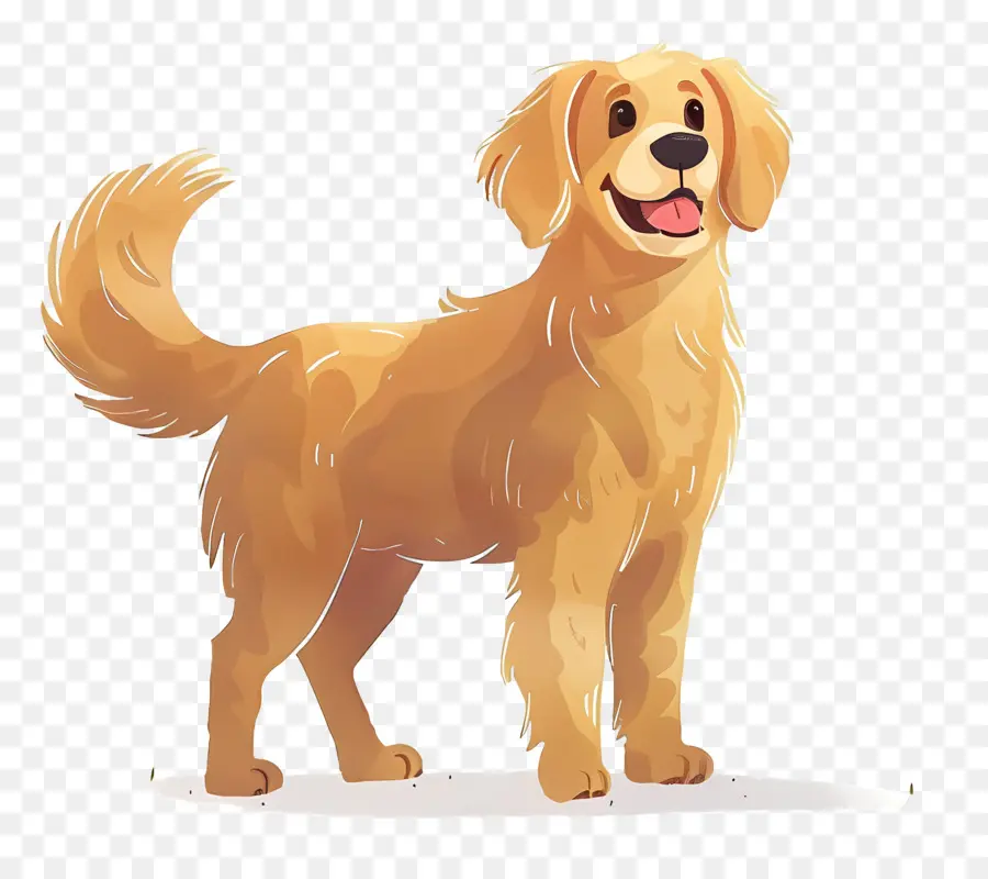 Anjing Golden Retriever，Anjing PNG