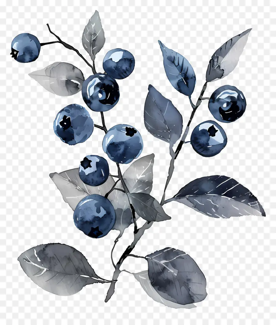 Blueberry Cat Air，Blueberry PNG