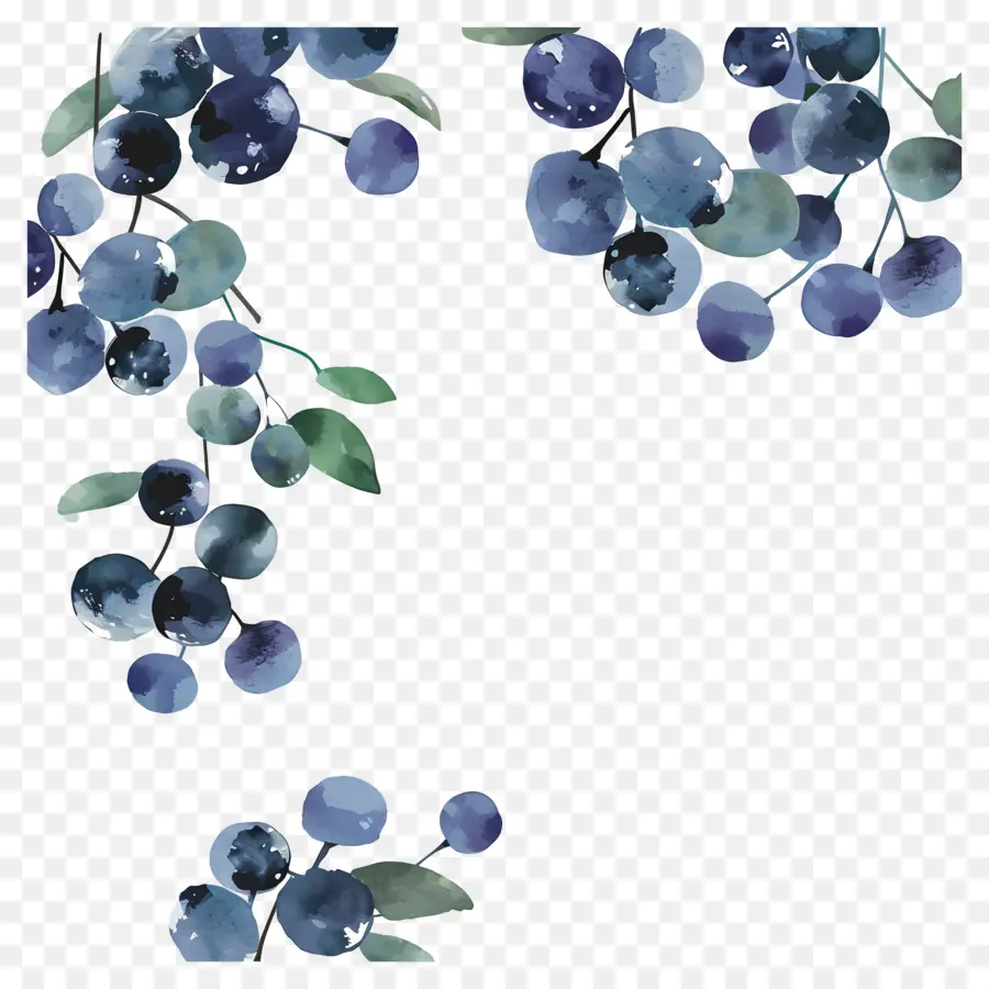 Blueberry Cat Air，Blueberry PNG