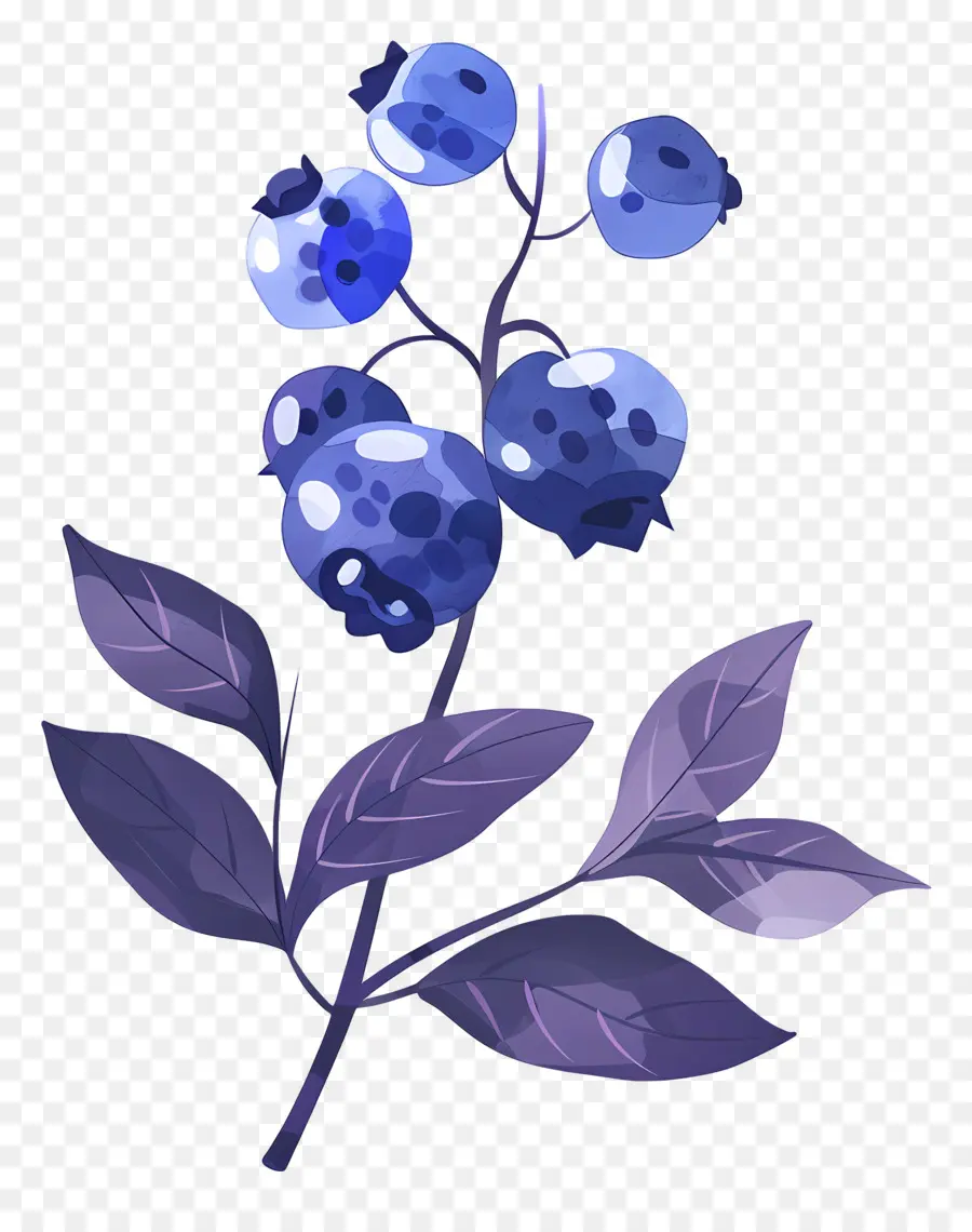 Blueberry Cat Air，Blueberry PNG