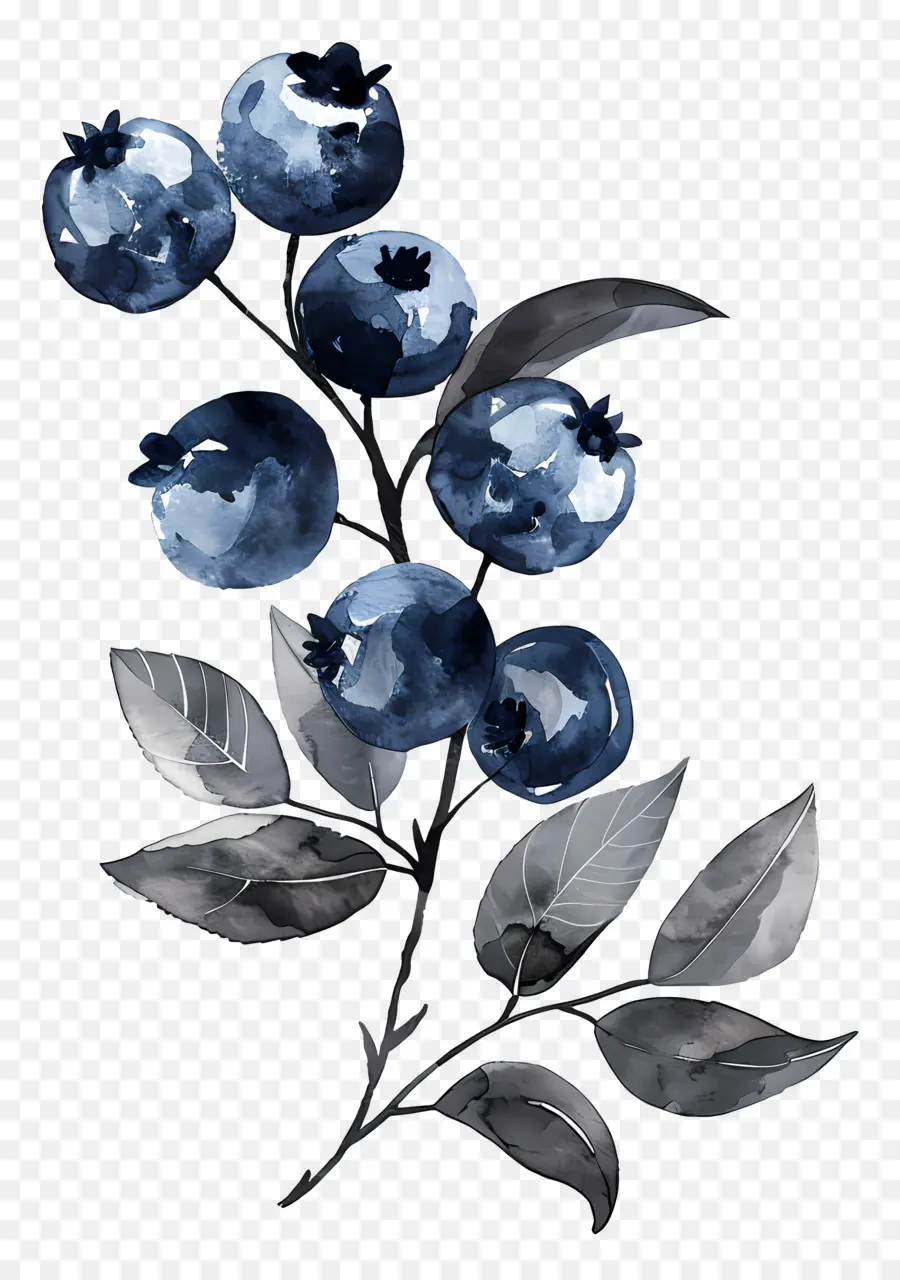 Blueberry Cat Air，Blueberry PNG