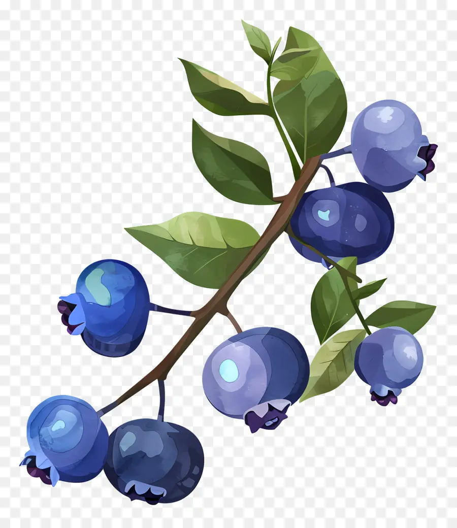 Blueberry Cat Air，Blueberry PNG