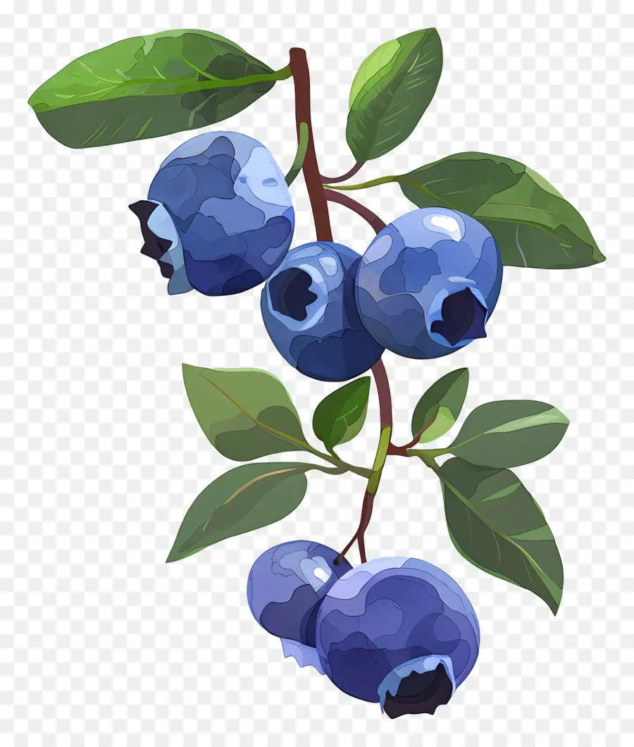 Blueberry Cat Air，Blueberry PNG