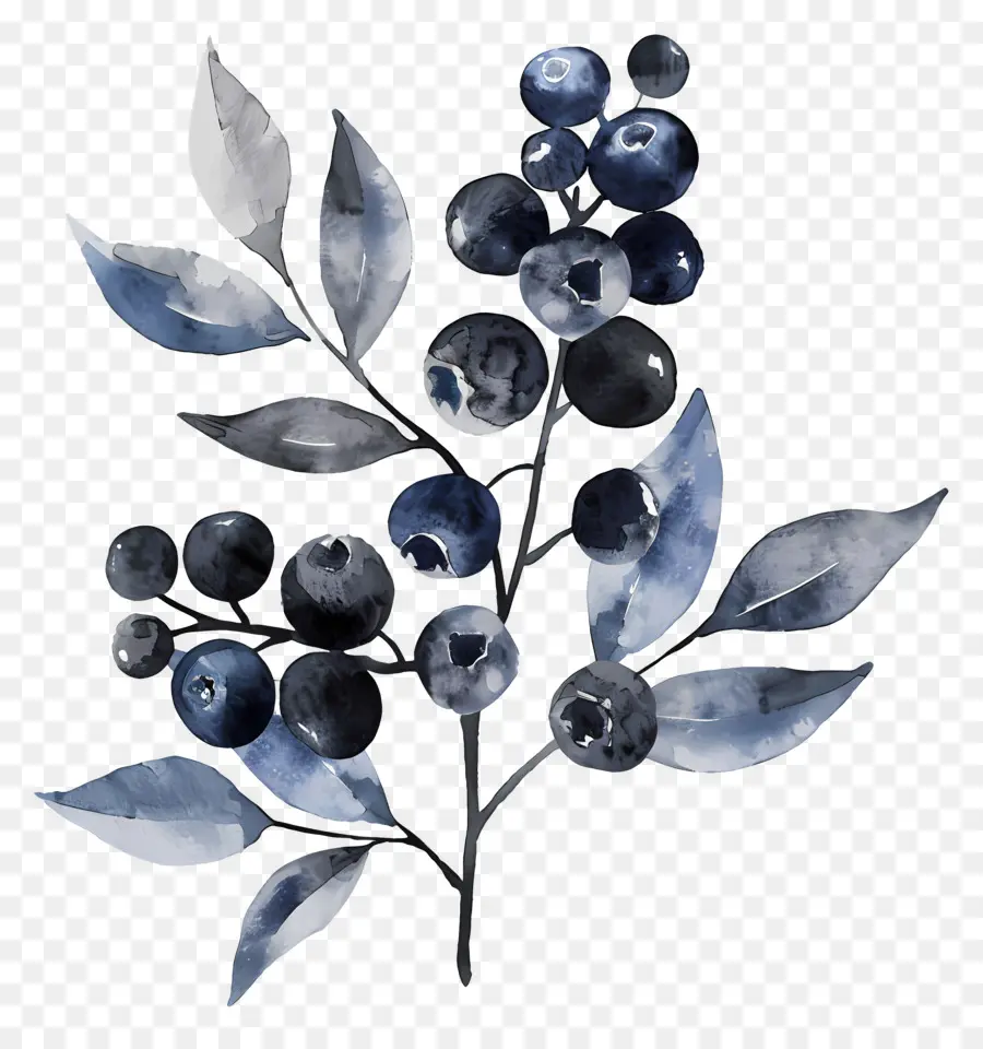 Blueberry Cat Air，Blueberry PNG