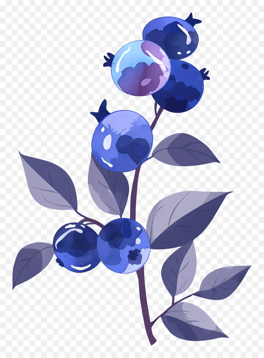 Blueberry Cat Air，Blueberry PNG