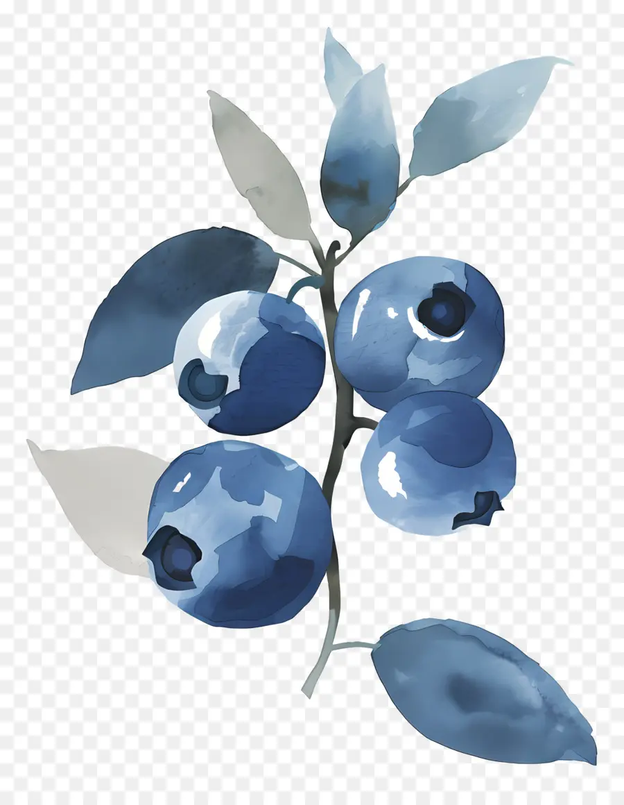 Blueberry Cat Air，Blueberry PNG