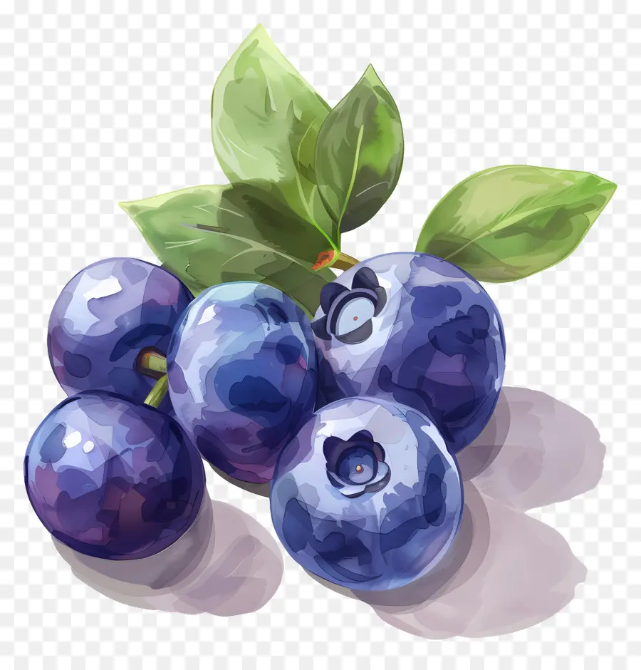 Blueberry Cat Air，Blueberry PNG