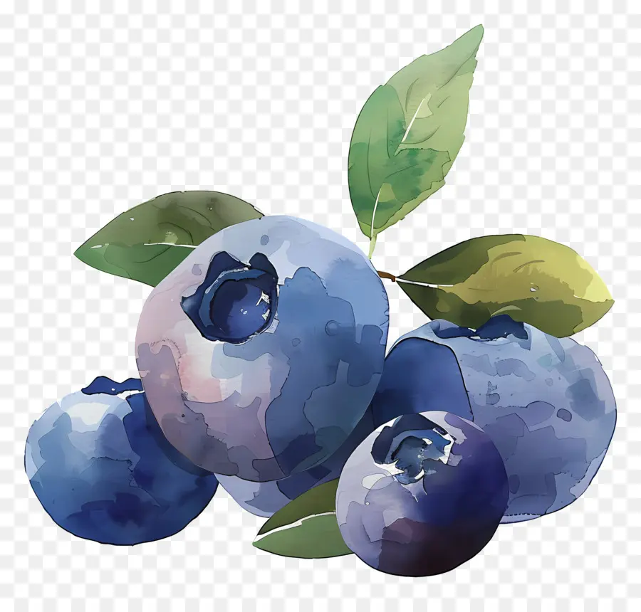 Blueberry Cat Air，Blueberry PNG