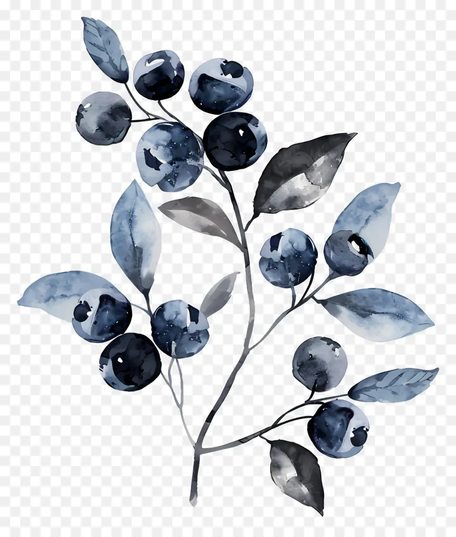 Blueberry Cat Air，Blueberry PNG