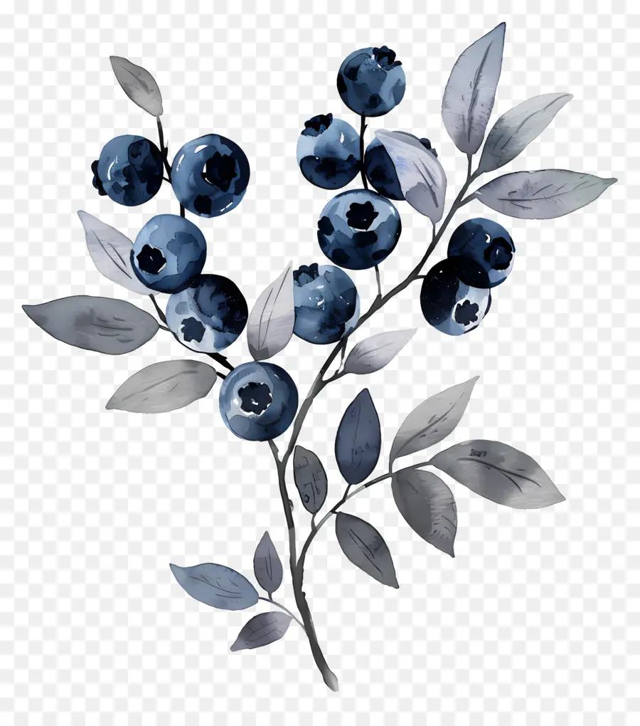 Blueberry Cat Air，Blueberry PNG