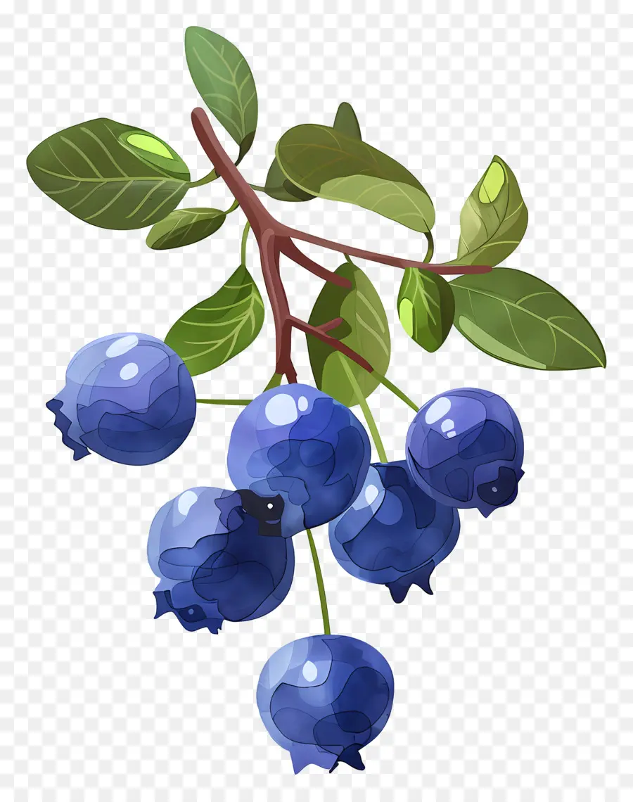 Blueberry Cat Air，Blueberry PNG