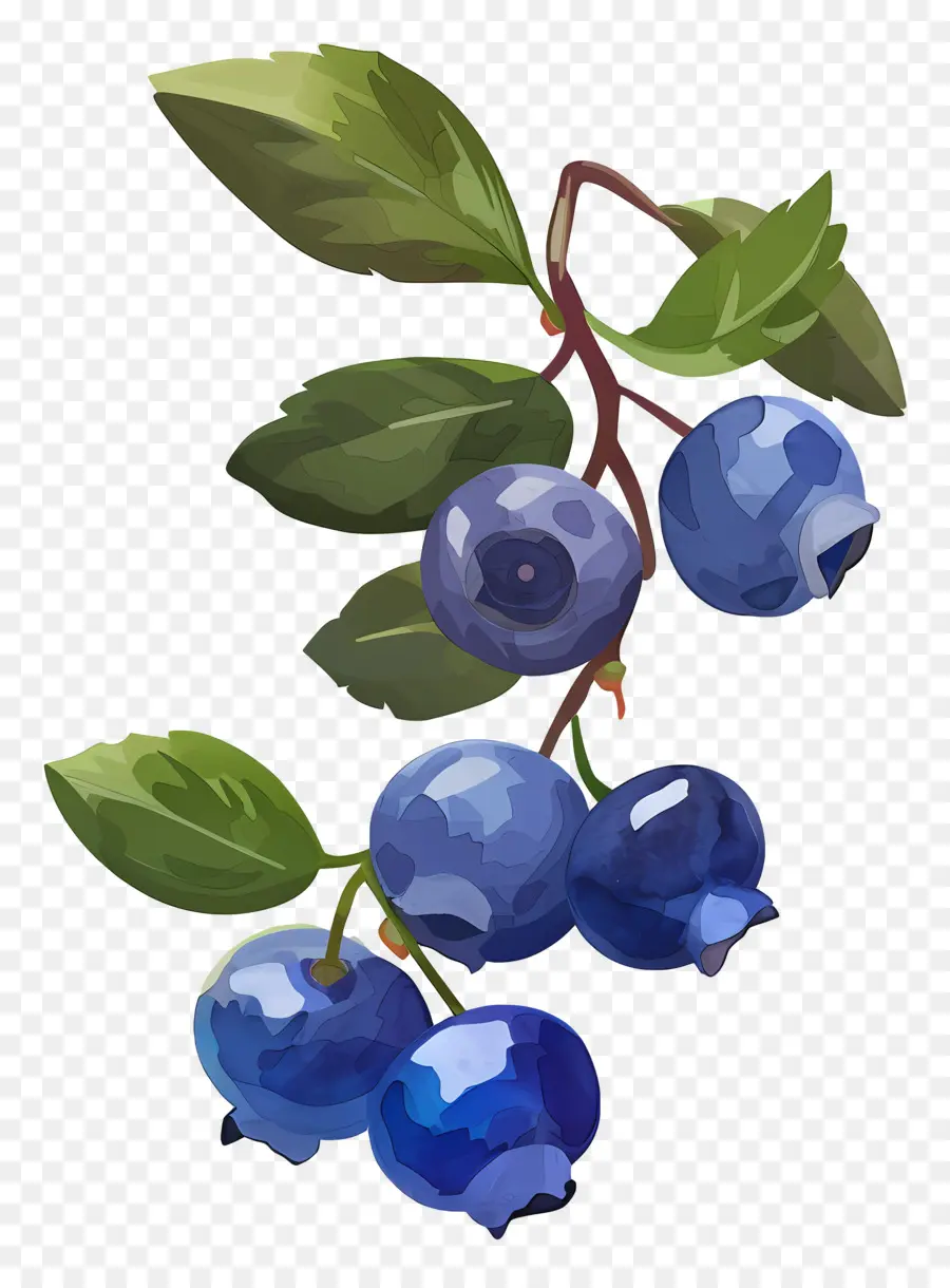 Blueberry Cat Air，Blueberry PNG