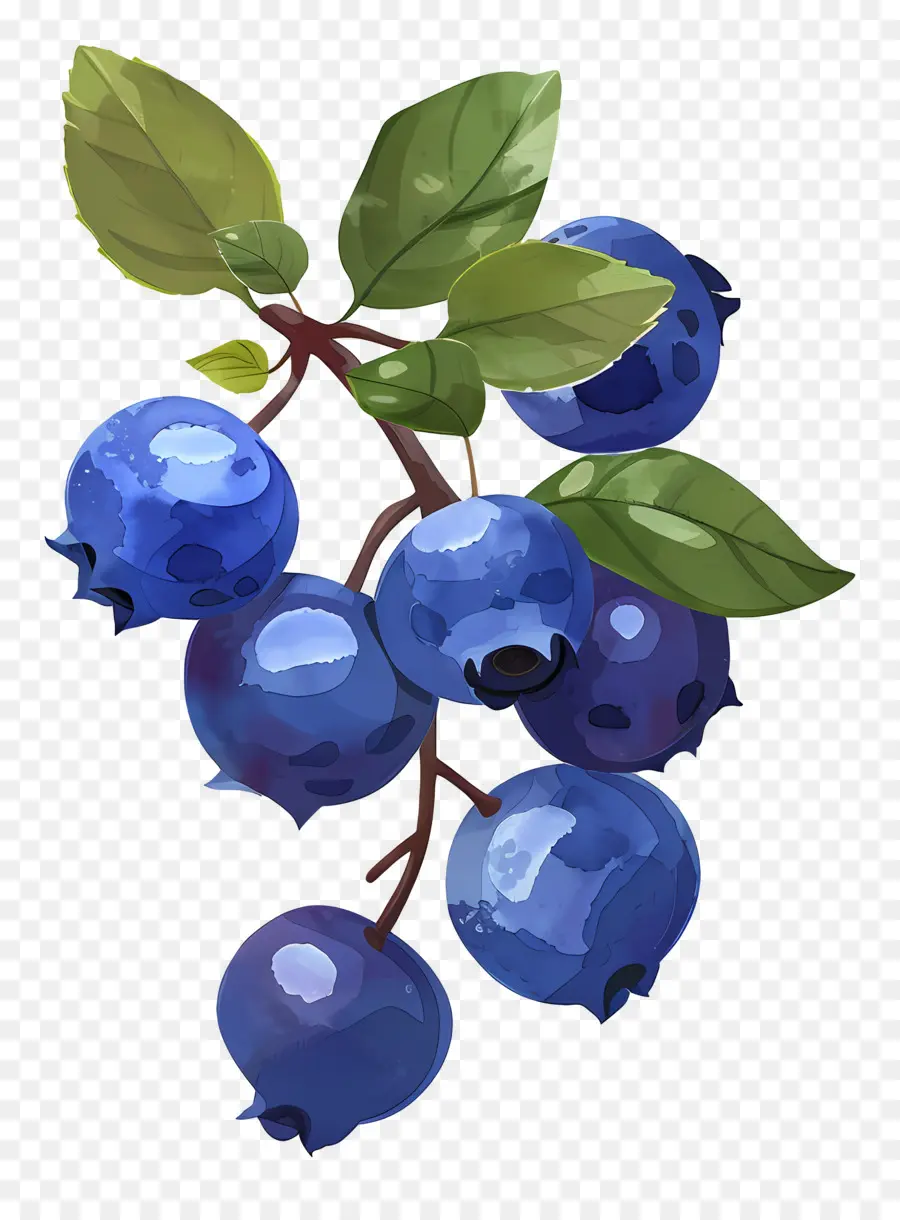 Blueberry Cat Air，Blueberry PNG