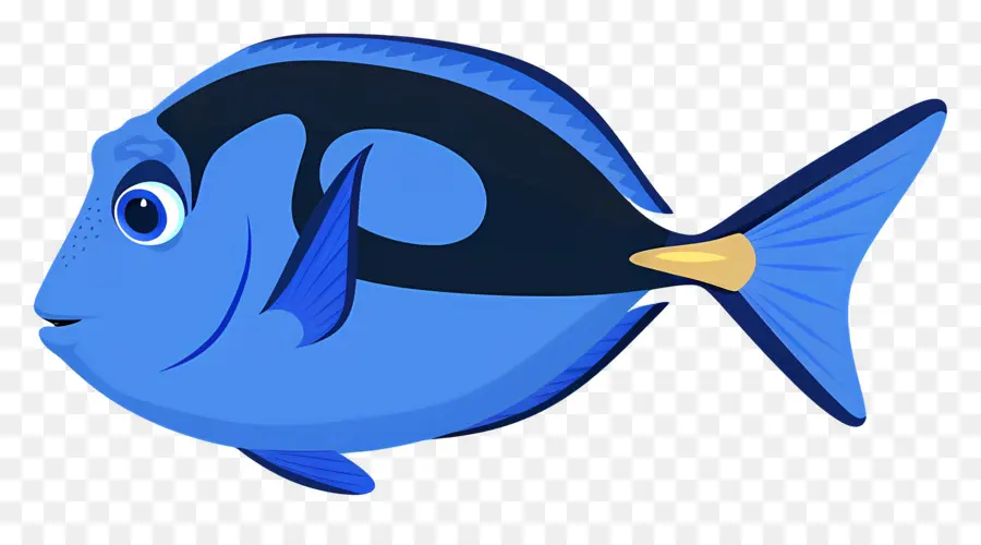 Ikan Biru，Ikan Berwarna Warni PNG