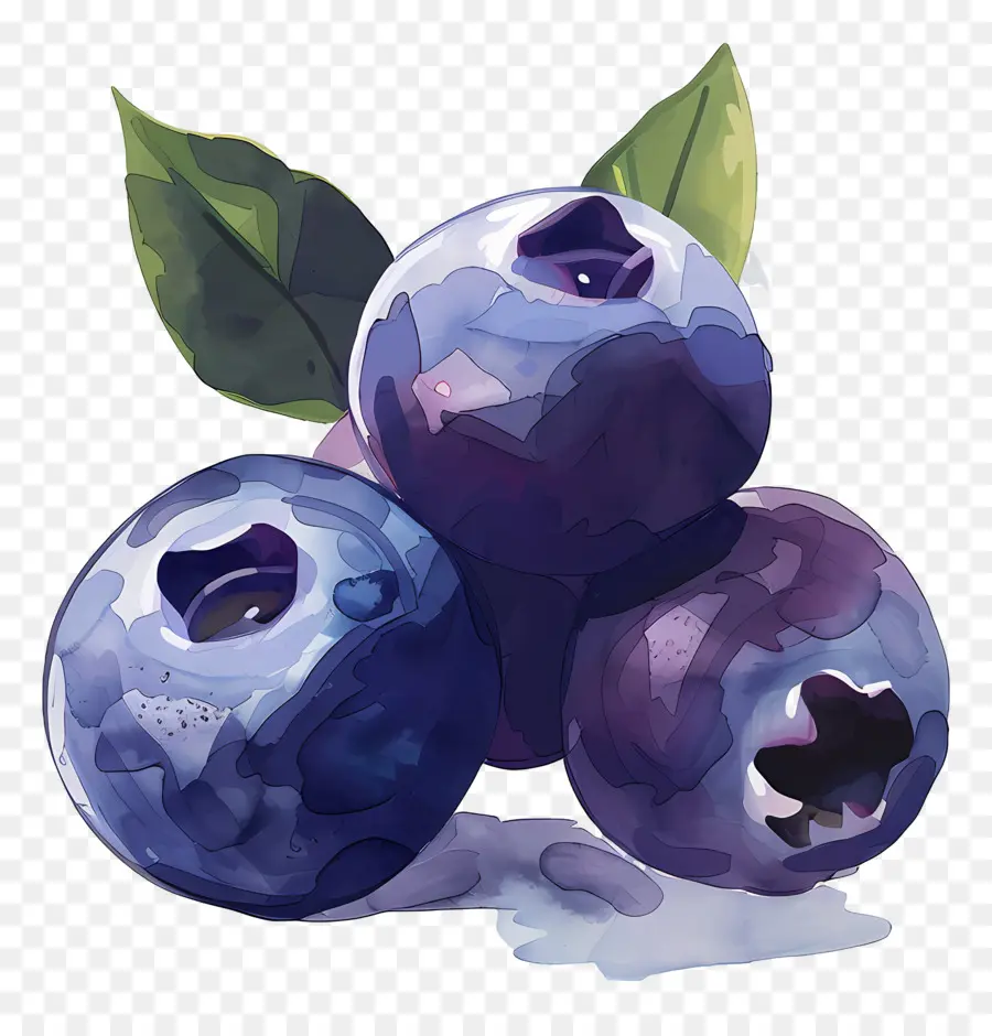 Blueberry Cat Air，Blueberry PNG