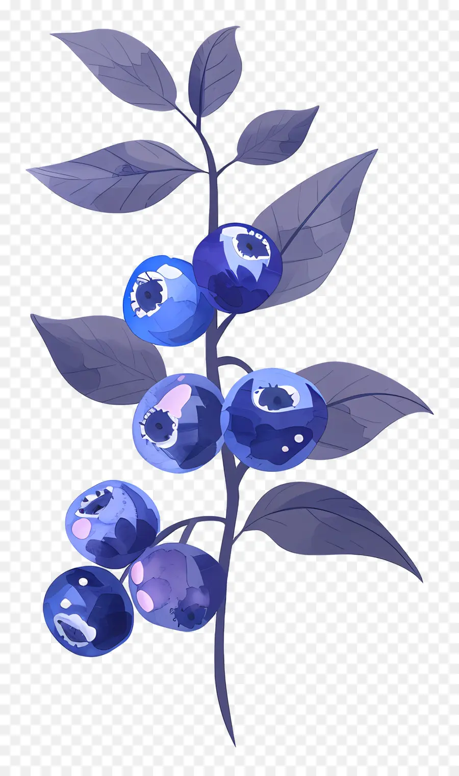 Blueberry Cat Air，Blueberry PNG