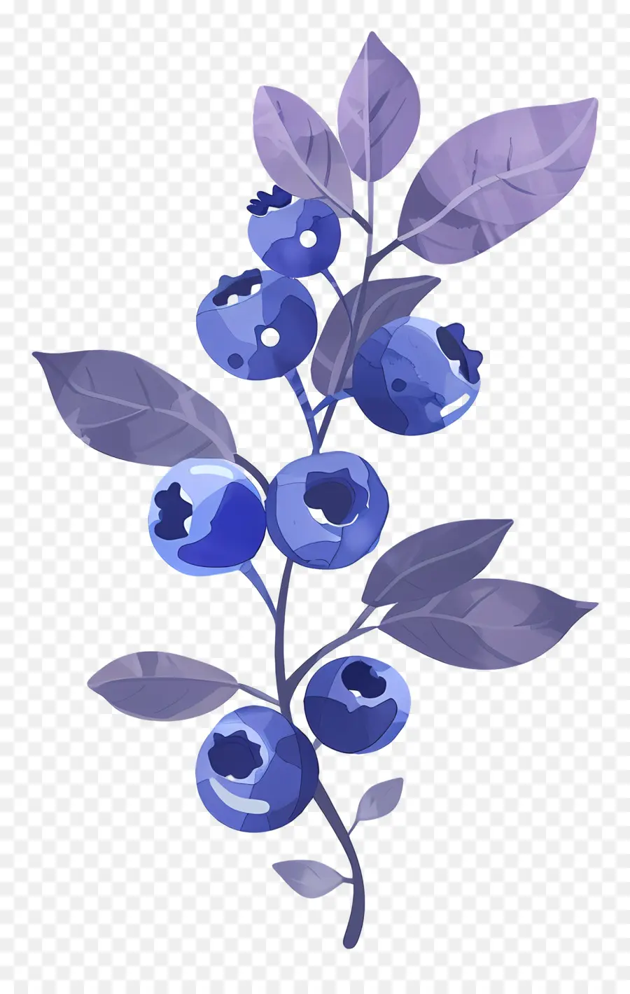 Blueberry Cat Air，Blueberry PNG