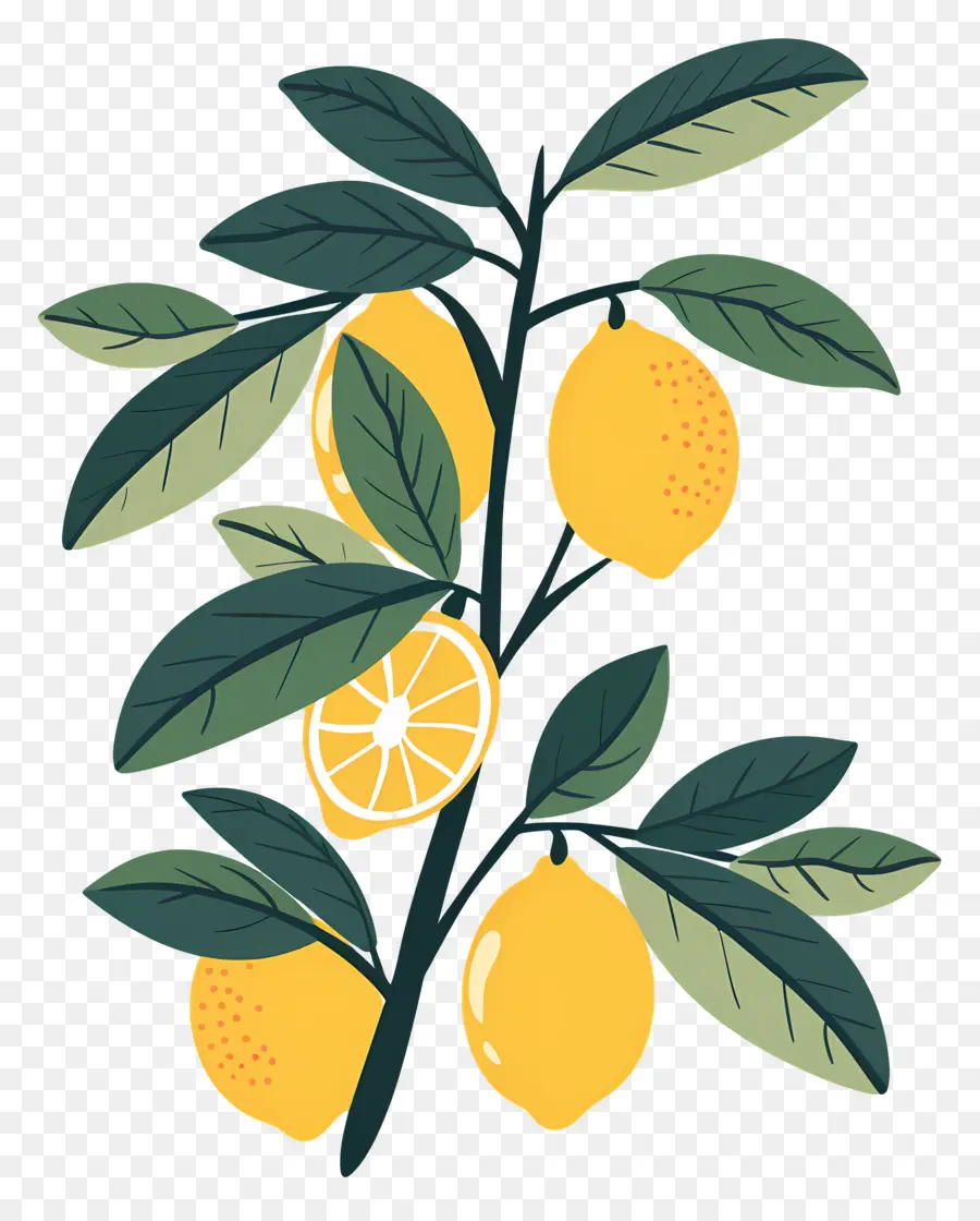 Lemon Dengan Daun，Lemon Dan Bunga PNG