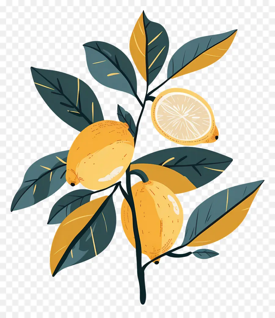 Lemon Dengan Daun，Lemon Dan Bunga PNG