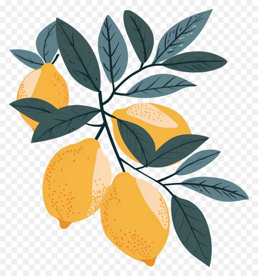 Lemon Dengan Daun，Lemon PNG