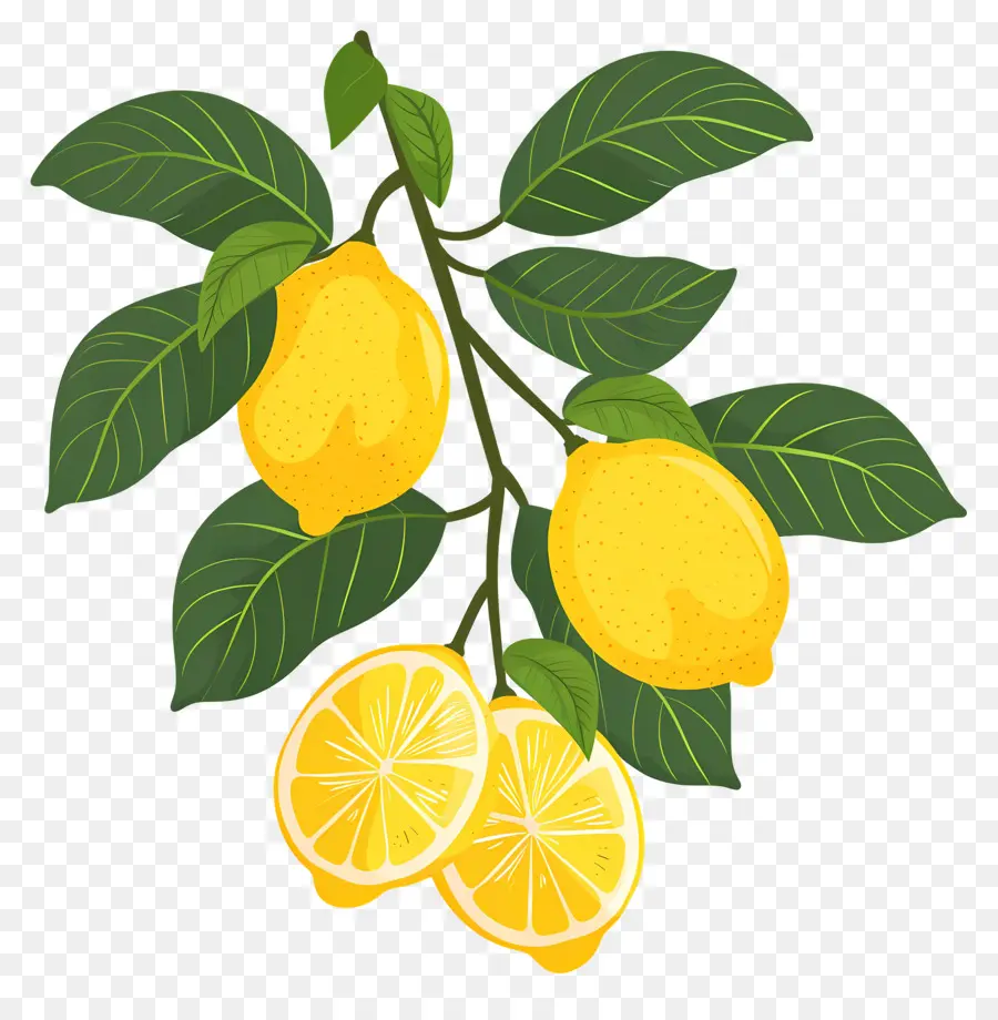 Lemon Dengan Daun，Lemon PNG