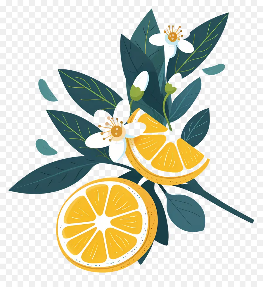 Lemon Dengan Daun，Lemon Dan Bunga PNG