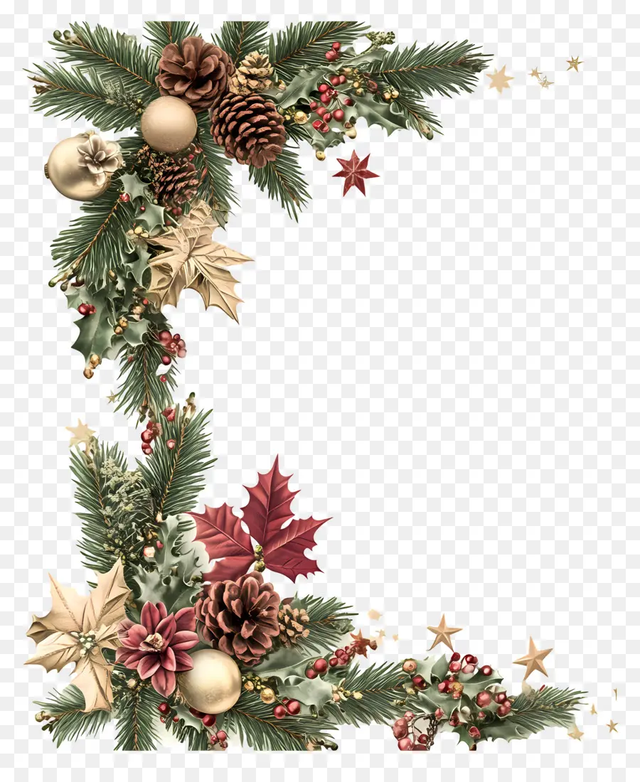 Pojok Natal，Cabang Pinus PNG