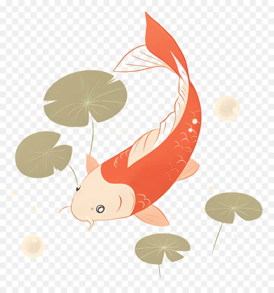 Ikan Koi，Kolam PNG