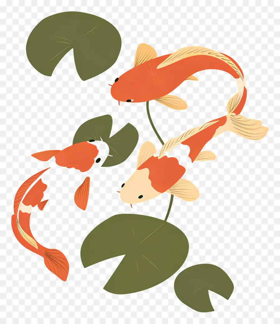 Ikan Koi，Kolam PNG