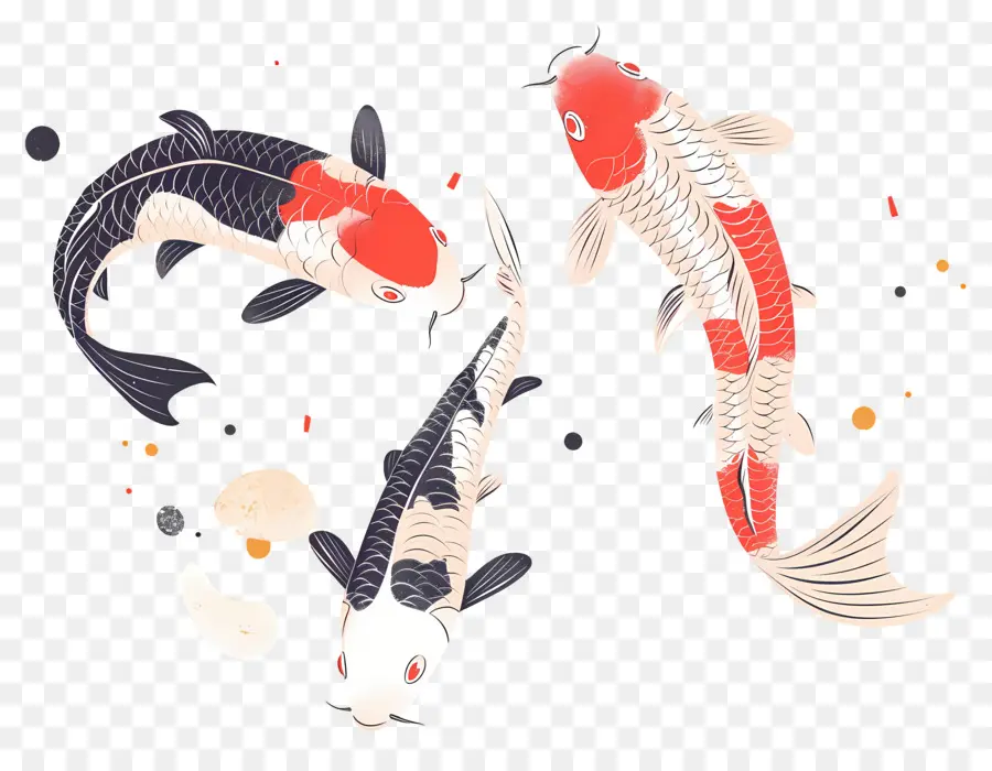 Ikan Koi，Tiga Detail Ikan Koi PNG