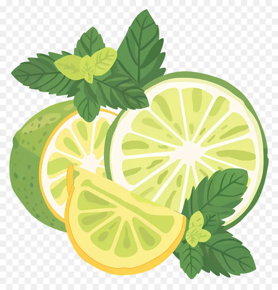 Lemon Hijau，Jeruk Nipis Dan Mint PNG