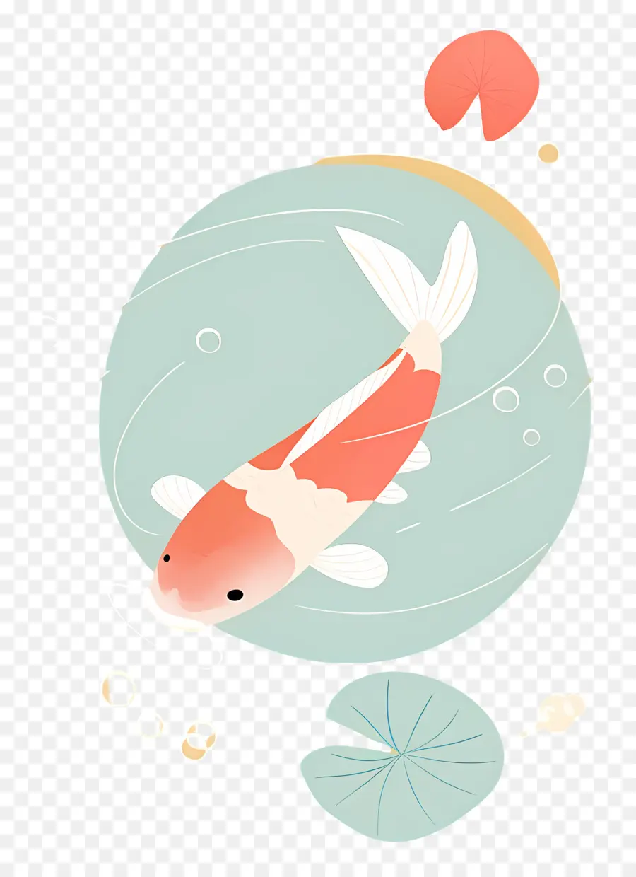 Ikan Koi，Kolam PNG