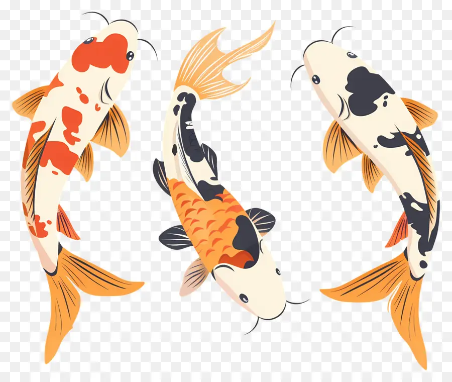 Ikan Koi，Tiga Detail Ikan Koi PNG