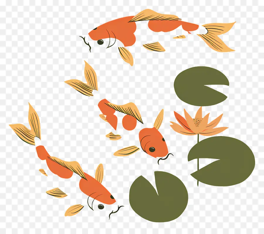 Ikan Koi，Kolam PNG