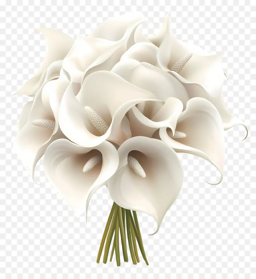 Buket Pengantin，Buket Calla Lily PNG