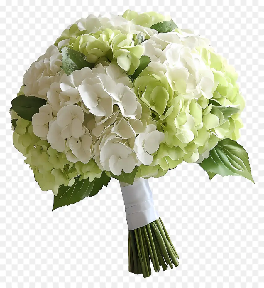 Buket Pengantin，Buket Hydrangea Hijau Dan Putih PNG