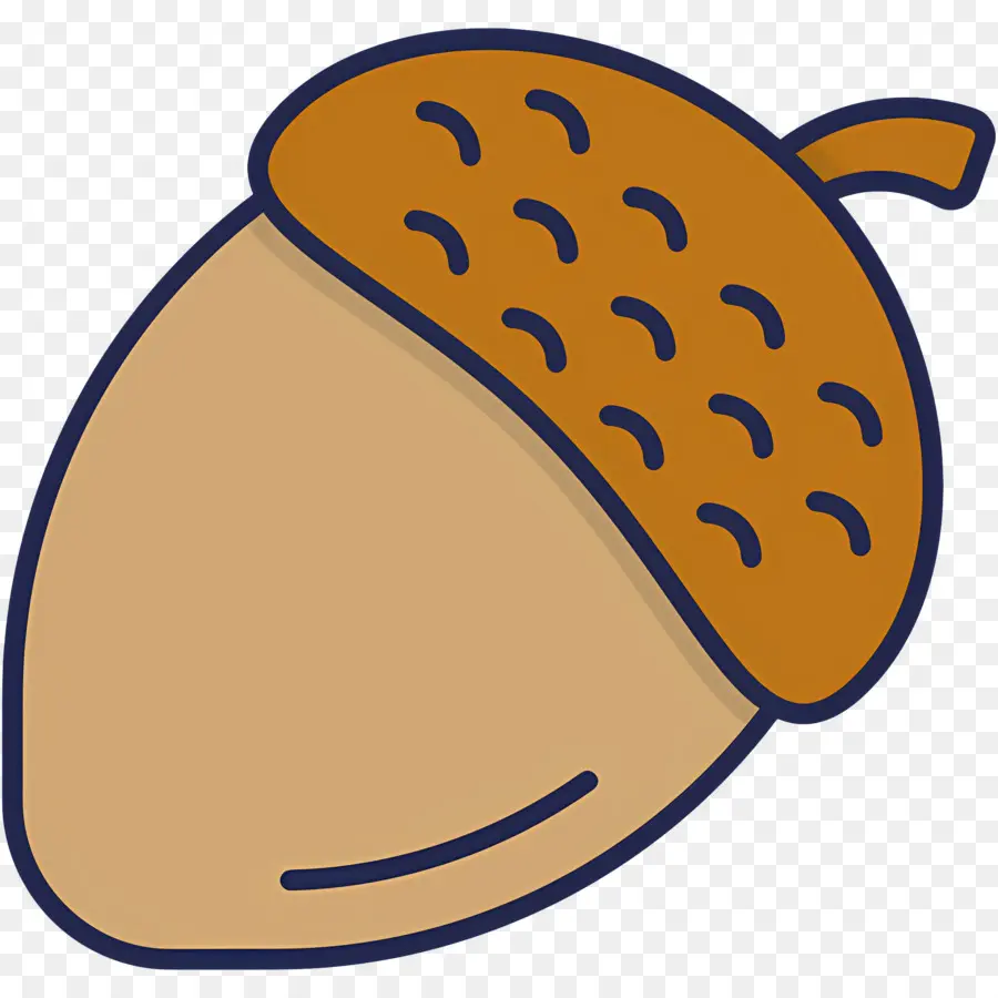 Biji Pohon Ek，Kacang PNG