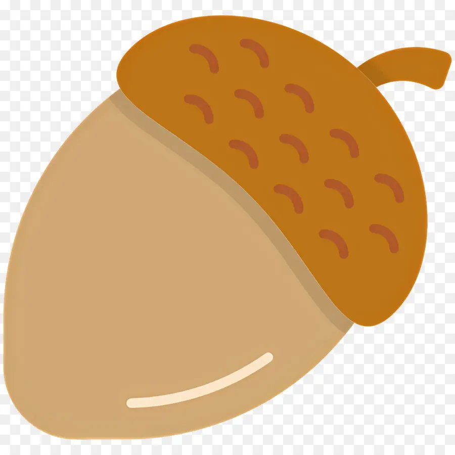 Biji Pohon Ek，Kacang PNG