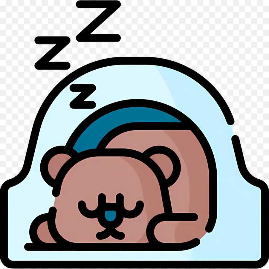 Tidur Zzz，Beruang Tidur PNG