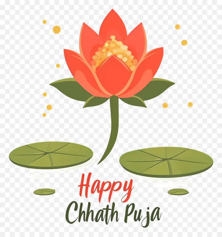 Selamat Chhath Puja，Bunga Teratai PNG