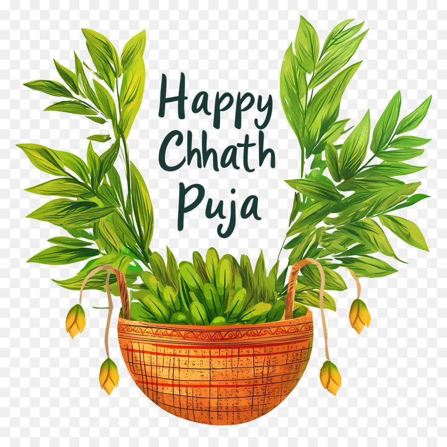 Selamat Chhath Puja，Keranjang Dengan Daun PNG